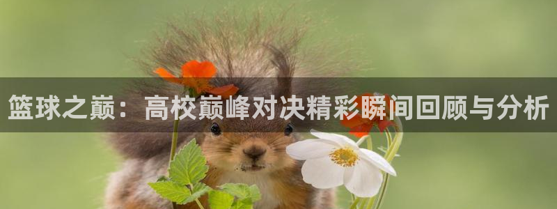 乐视手机官网