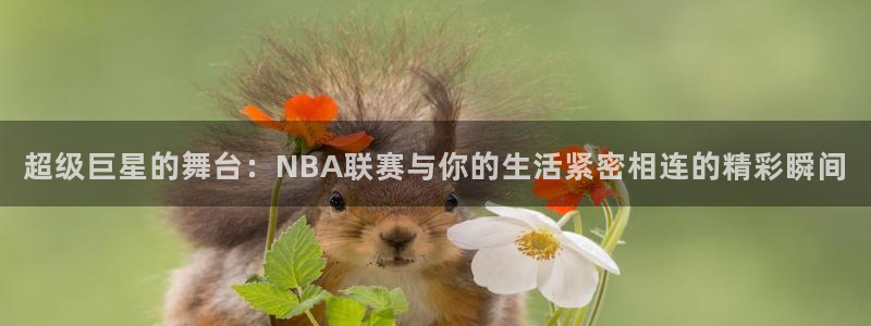 乐视nba：超级巨星的舞台：NBA联赛与